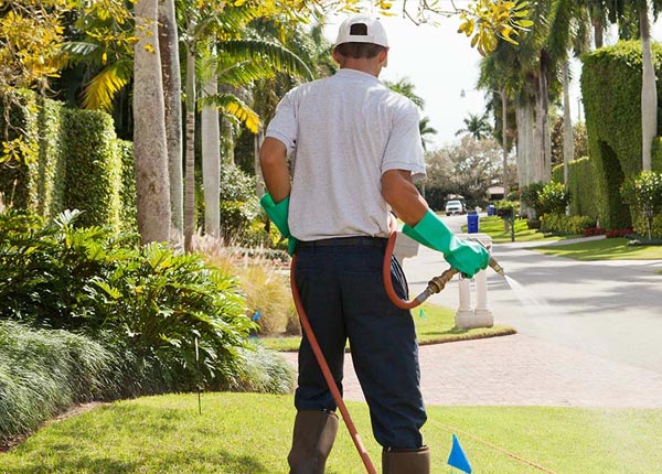 About Southfields NY Pest Control Pros